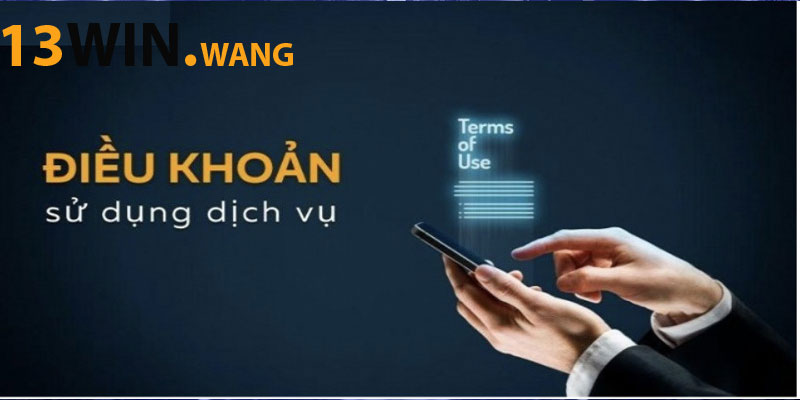 Điều khoản và điều kiện về nghĩa vụ của người chơi