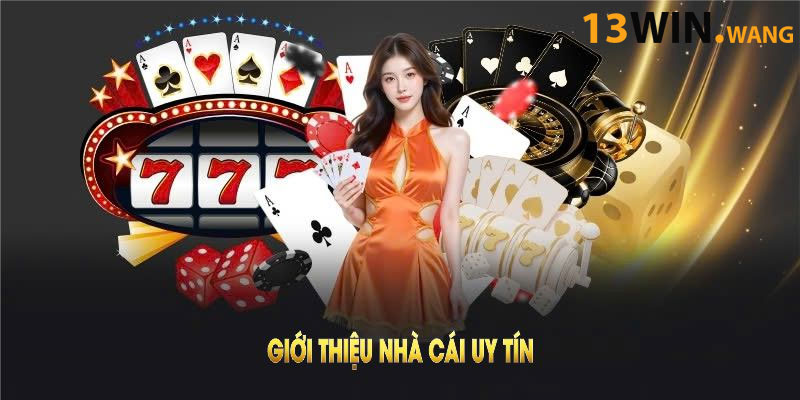 Giới thiệu nhà cái uy tín 13WIN